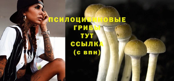 экстази Алексеевка