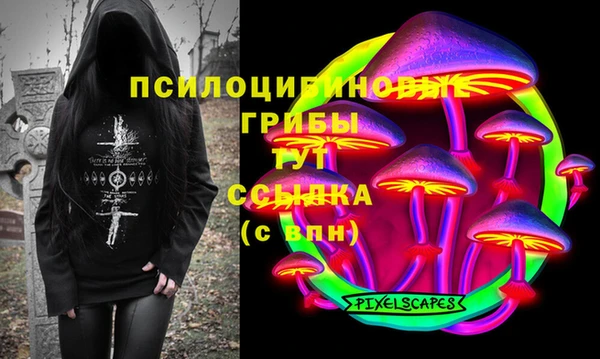 скорость Алзамай