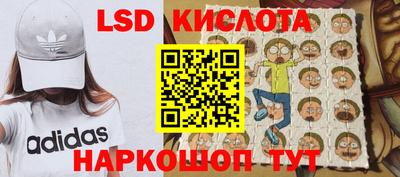 ГАЛЛЮЦИНОГЕННЫЕ ГРИБЫ Кандалакша