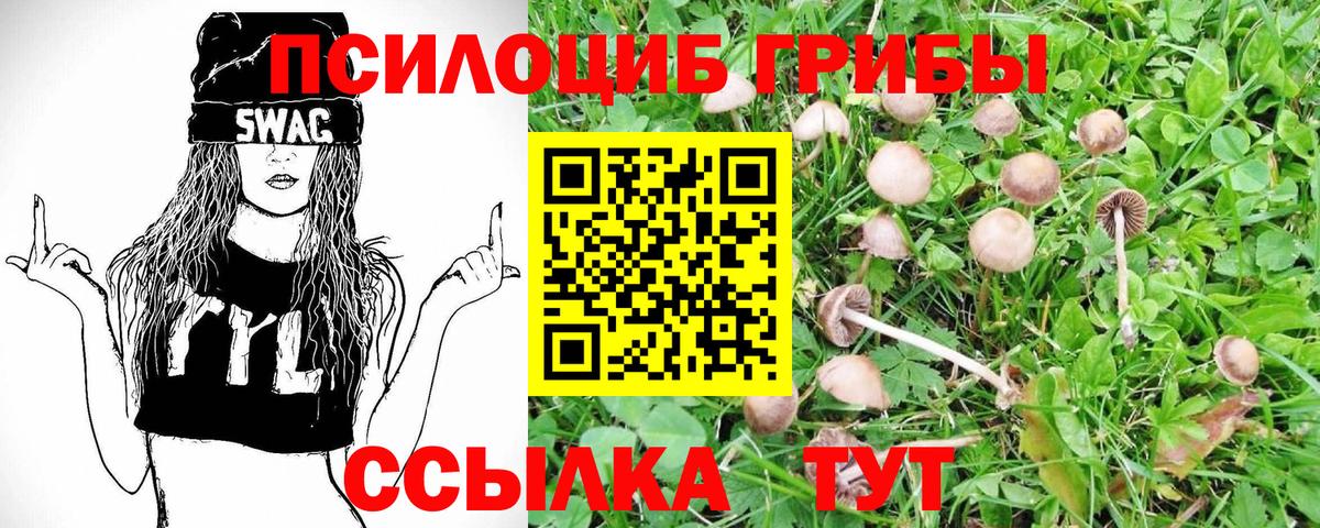 Галлюциногенные грибы Magic Shrooms Бирск
