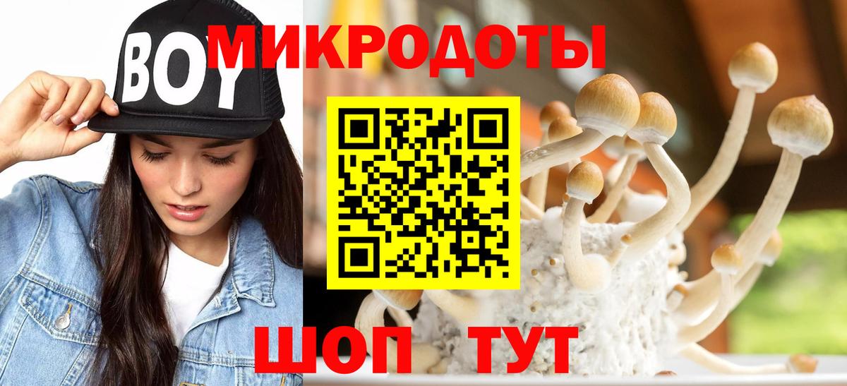 Бирск  Псилоцибиновые грибы мицелий  Галлюциногенные грибы MAGIC MUSHROOMS  Вход с VPN 